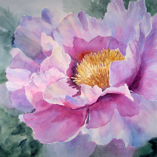 peony joy by kathryn bourbonniere